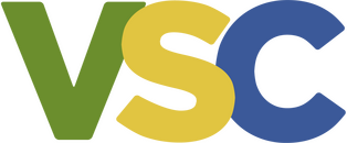 Logo Vasco Paraguay